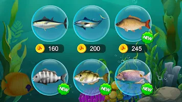 Solitaire Fish World-OceanTrip