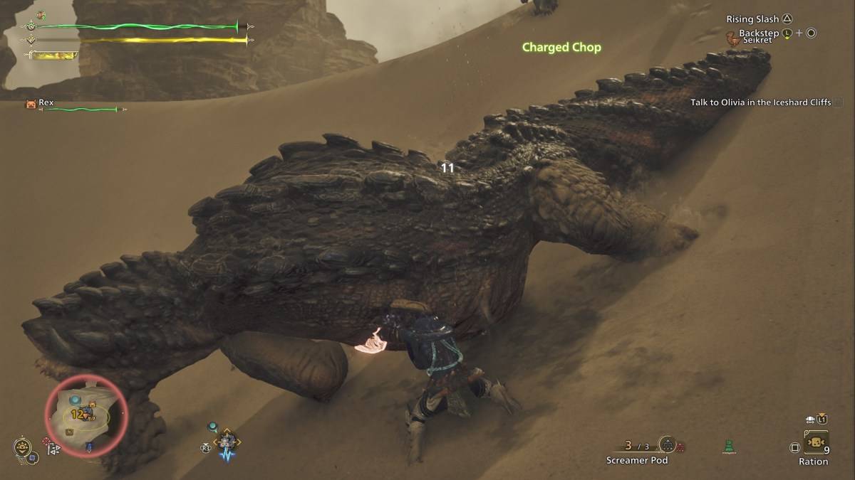 Hunter executing sword and shield attack
