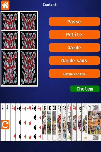 Net.Tarot應用截圖第1張