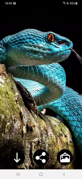 Snake Wallpapers Ảnh chụp màn hình 0