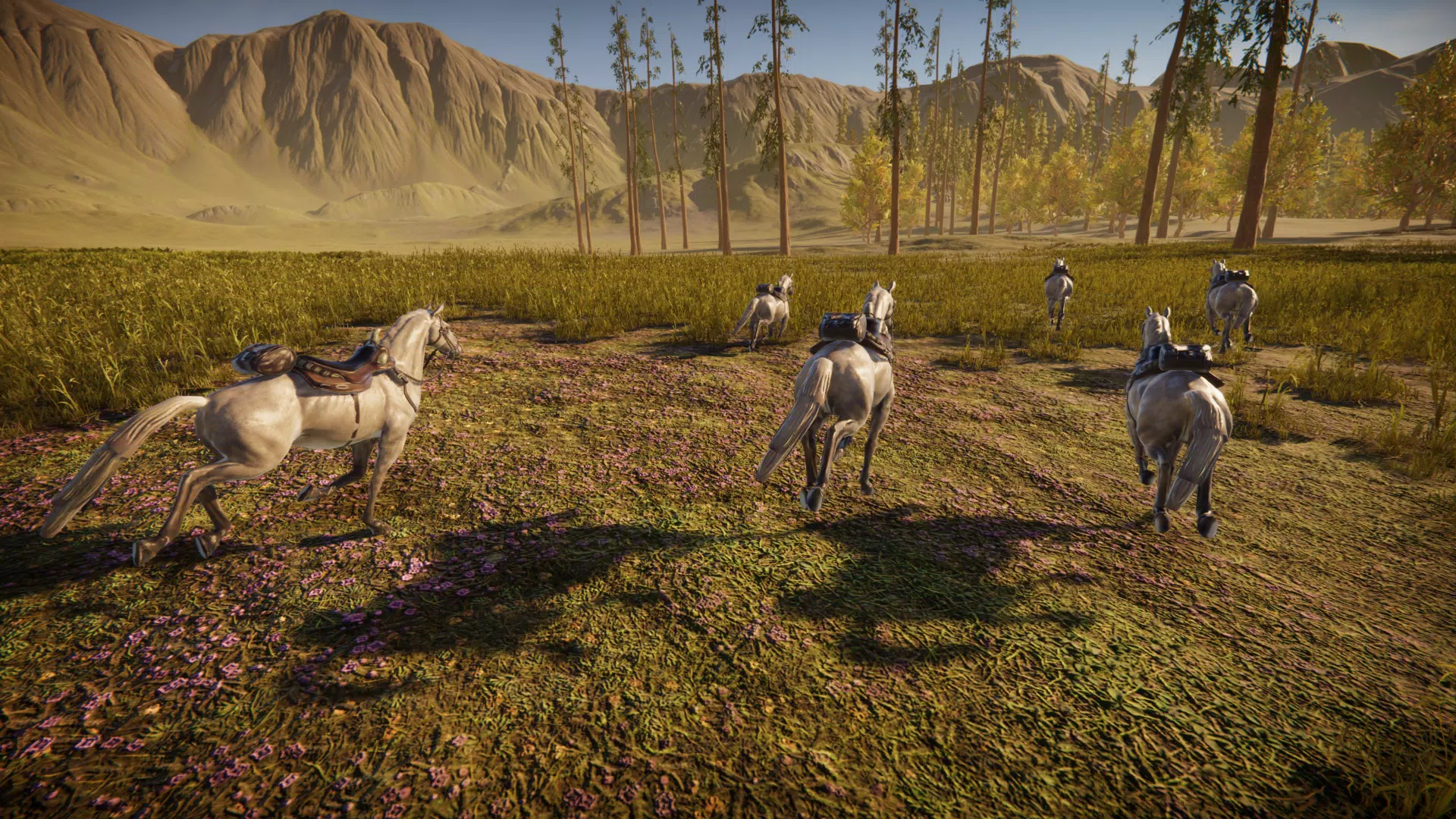 Spirit Horse: Woodland Trails Screenshot 2