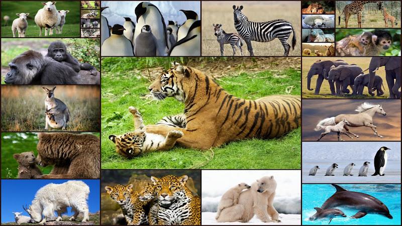 Baby Animal Jigsaw Puzzles Screenshot 0