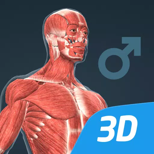 人体教育用VR 3D映像（男性）