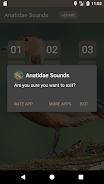 Anatidae Sound Screenshot 2