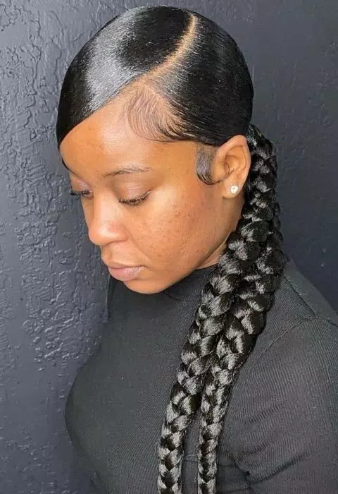 Sleek Braided Ponytail Styles Capture d'écran 0