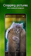 Kitten Wallpapers 4K Screenshot 3