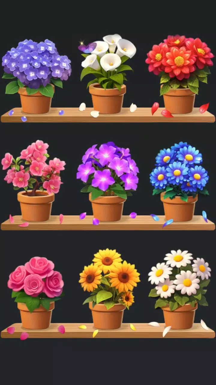 Floral Sort 3D Tangkapan skrin 1