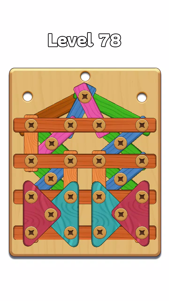 Wood Nuts & Bolt: Screw Puzzle Tangkapan skrin 2