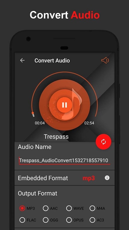 AudioLab Zrzut ekranu 2