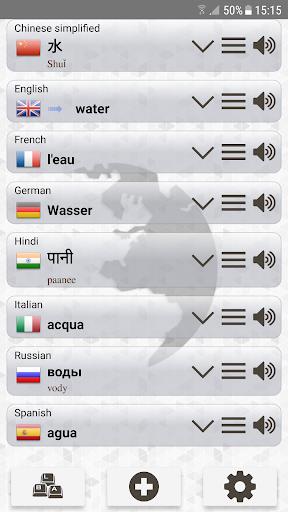 Schermata Q Multi Language Translator 0