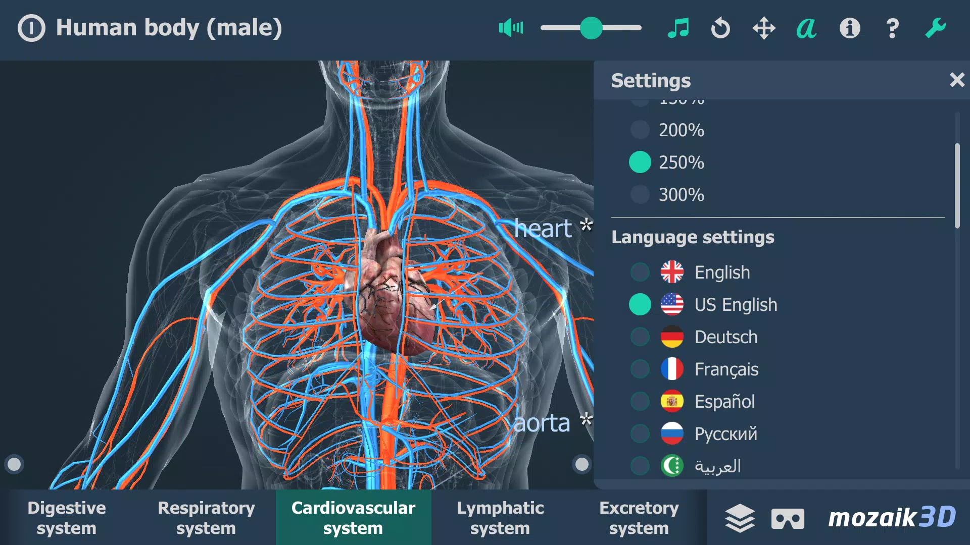 Human body (male) 3D scene Ekran Görüntüsü 1