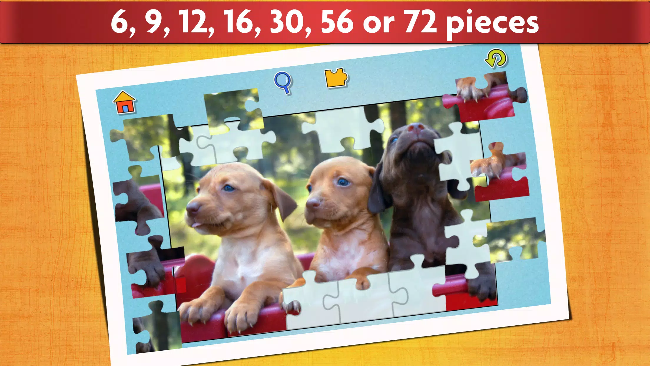 Puzzle Games Dogs Jigsaw Screenshot 2