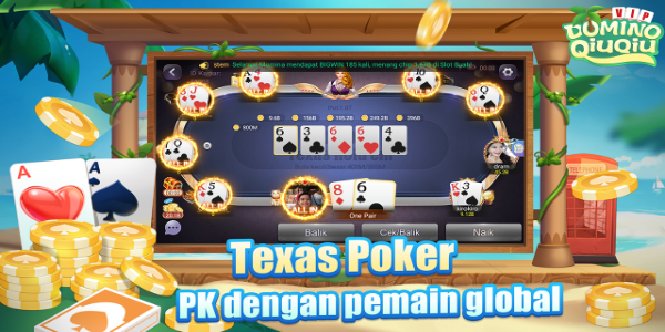 Domino QiuQiu Gaple VIP Tangkapan skrin 1