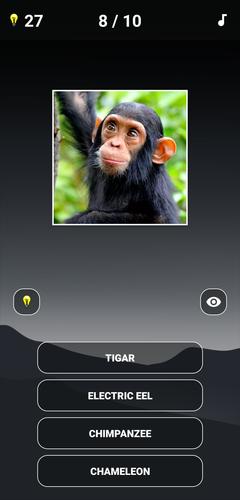 Animal Quiz: Guess the Animal スクリーンショット 0