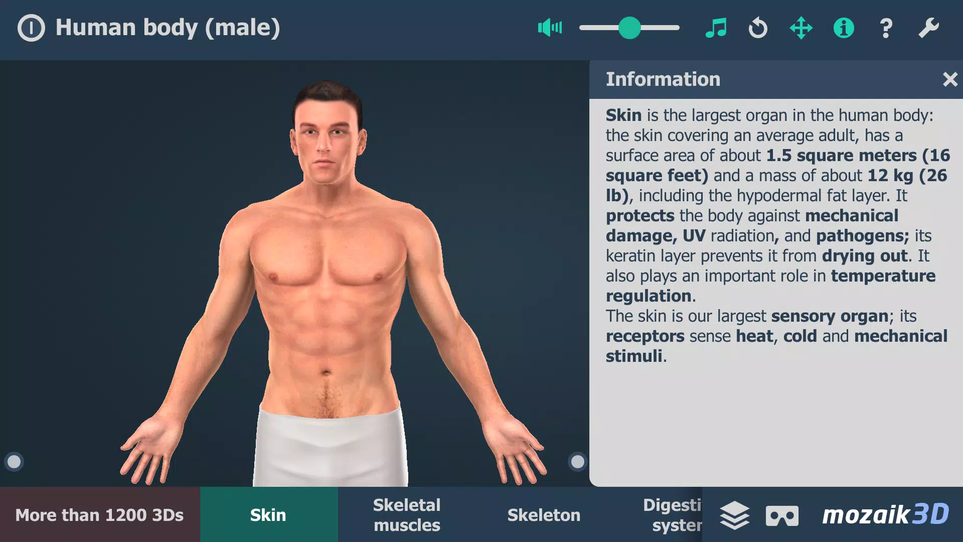 Human body (male) 3D scene Ekran Görüntüsü 0