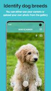 Dog Scanner: Breed Recognition Ảnh chụp màn hình 0