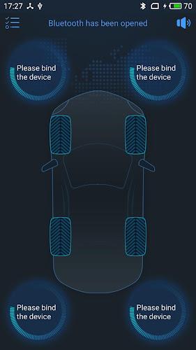 TPMSII应用截图第0张