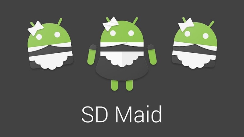SD Maid Pro Tangkapan skrin 0