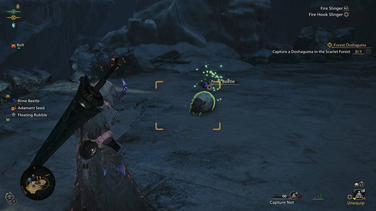 Paano makuha ang rime beetle sa halimaw na mangangaso wilds