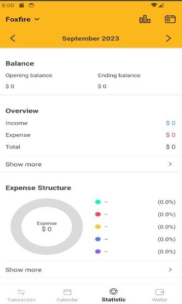 Schermata Manage your Money 1