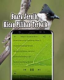 Suara Burung Kutilang Offline ဖန်သားပြင်ဓာတ်ပုံ 3