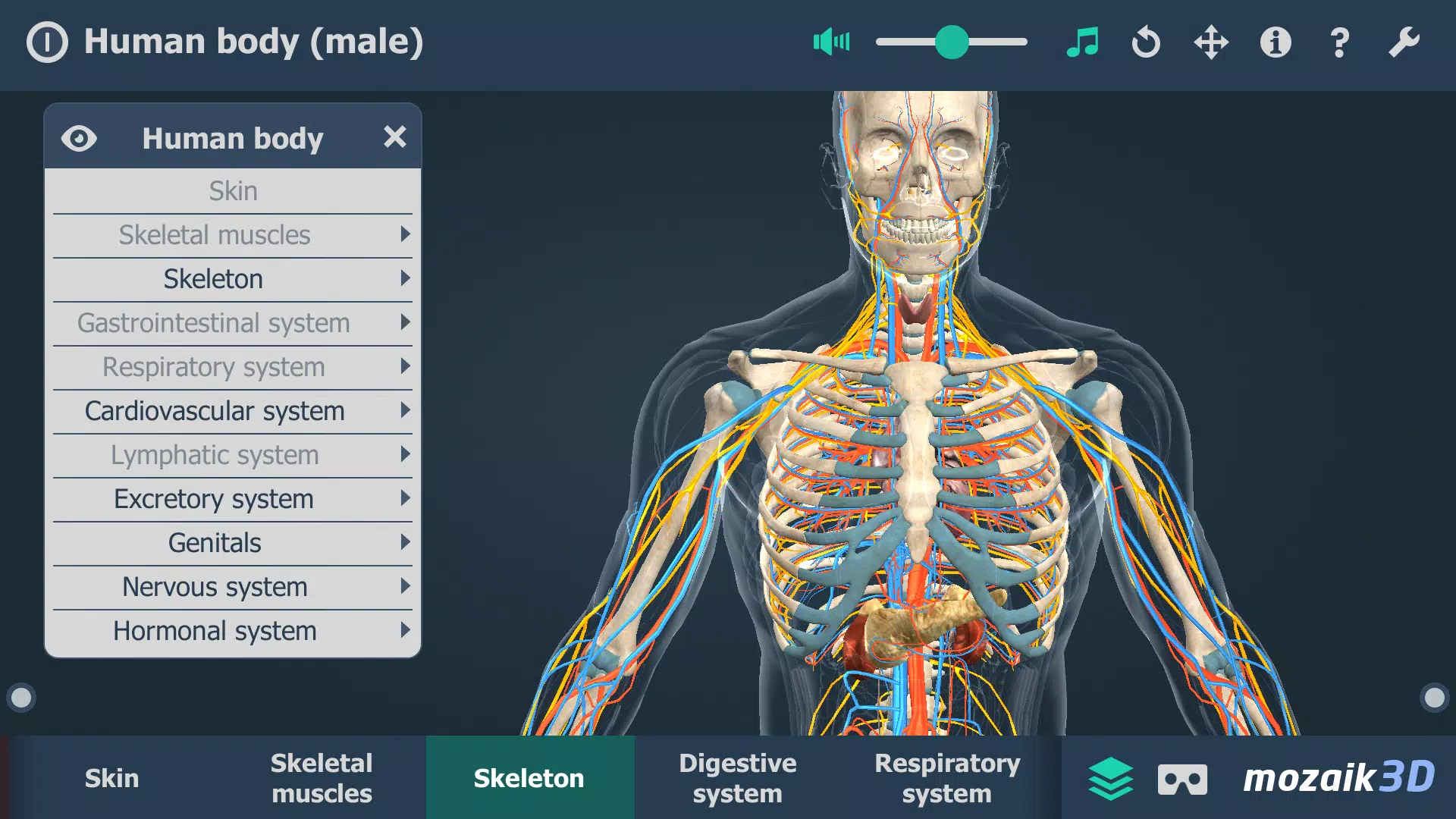 Human body (male) 3D scene Ekran Görüntüsü 3