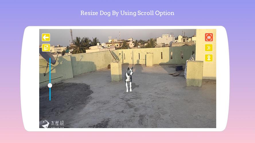 Dog play Ar Screenshot 2