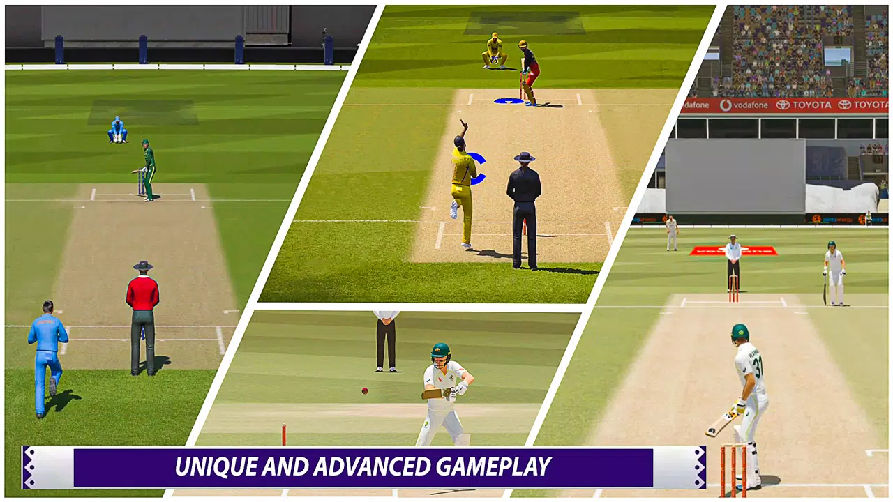 Cricket Games Real World Match Screenshot 2