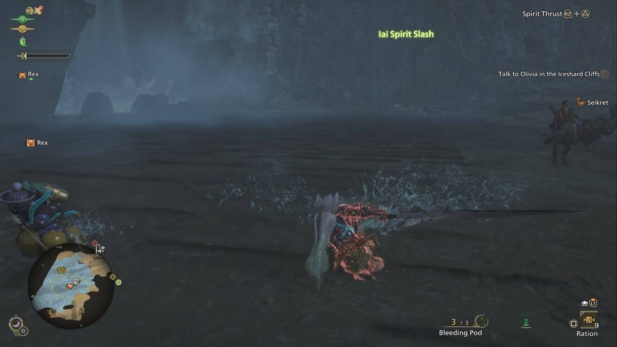 Hunter wielding long sword