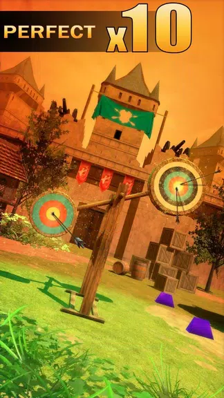 Archery Shooting Screenshot 0