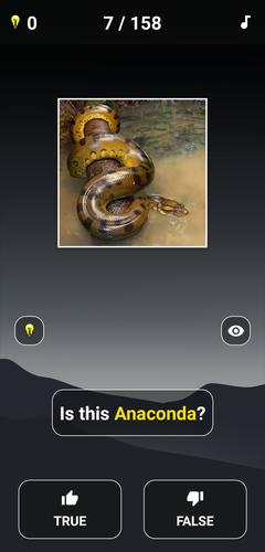 Animal Quiz: Guess the Animal スクリーンショット 2