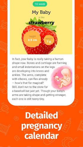 Pregnancy App and Baby Tracker Скриншот 2