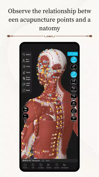Acupuncture Master應用截圖第2張