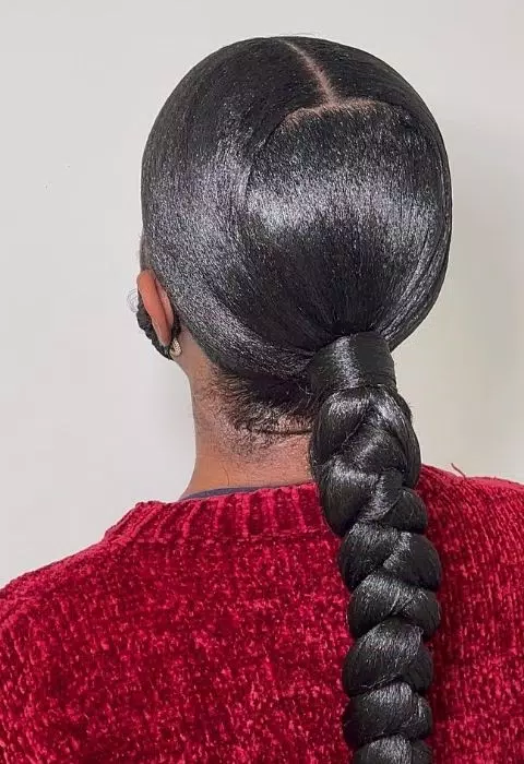 Sleek Braided Ponytail Styles Captura de tela 2