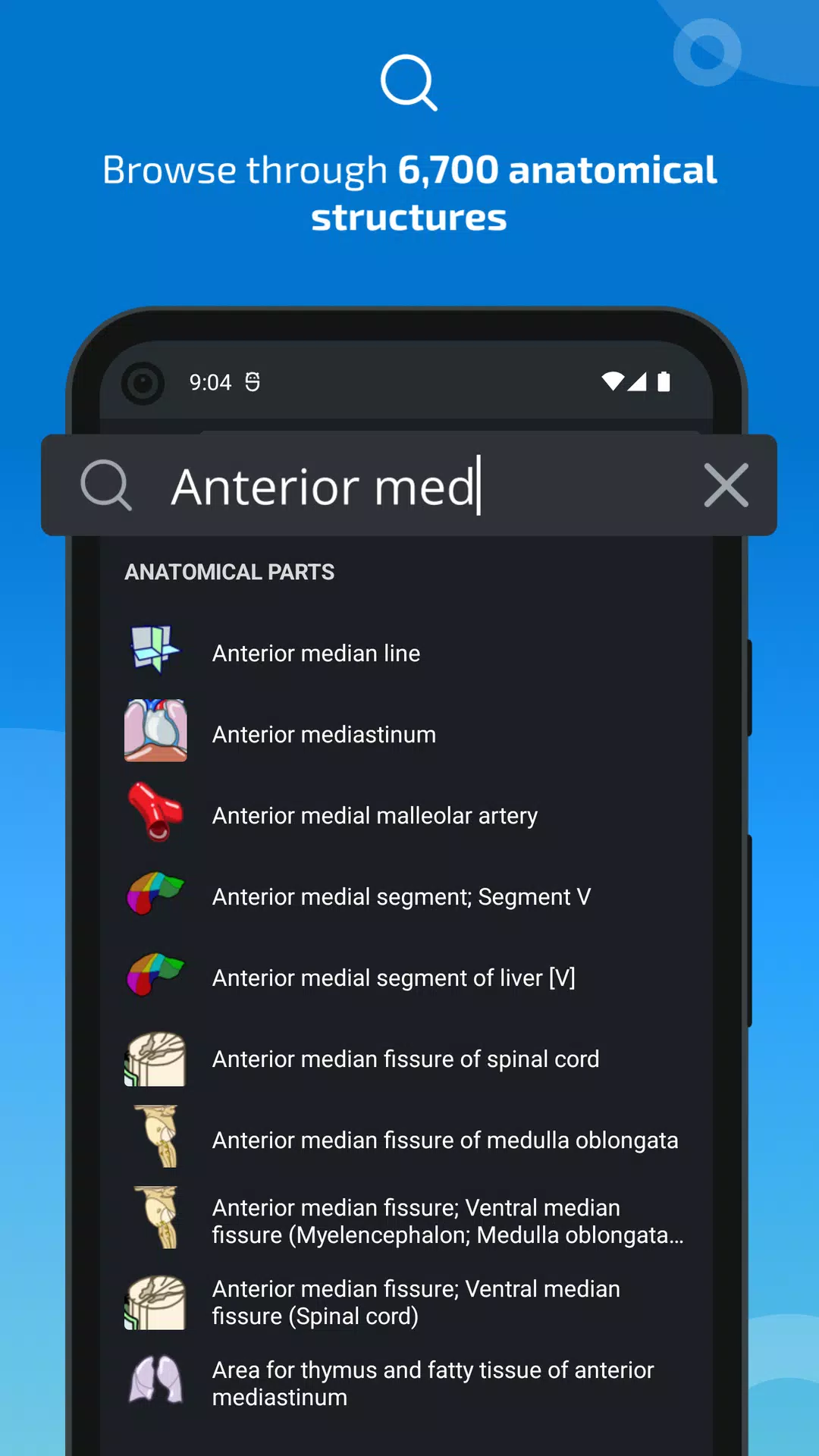 e-Anatomy স্ক্রিনশট 2