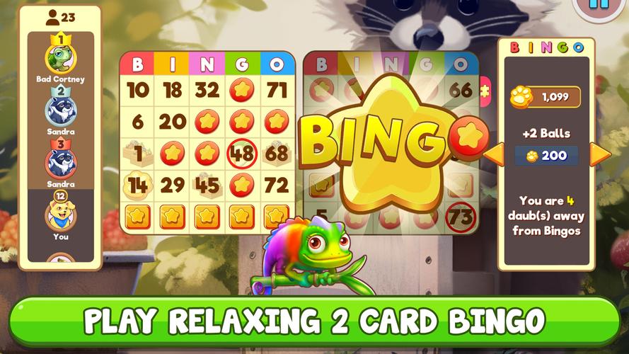 Bingo:  Free the Pets Captura de pantalla 1
