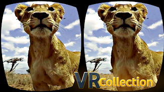 Pack of VR videos Screenshot 2