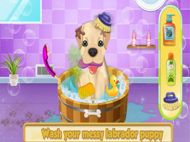 Cute Pet Dog Training Care Captura de tela 0