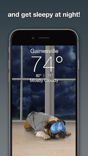 Weather Puppy - App & Widget Screenshot 2