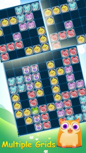 Block Game Puzzle of Pet World应用截图第2张