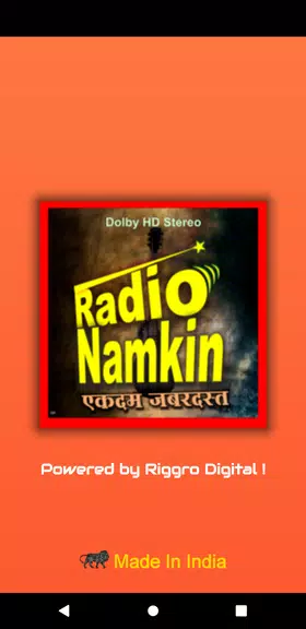 Radio Namkeen- FM Radio Online Captura de pantalla 0