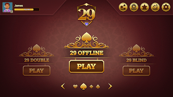 29 Royal Pro Card Game Offline Capture d'écran 2