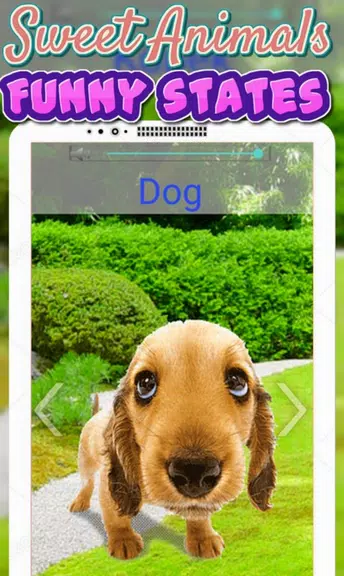 Animals Sounds For Kids应用截图第3张