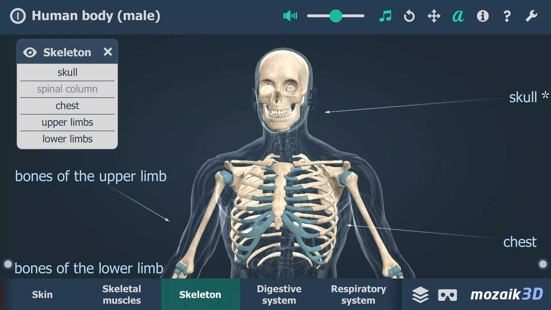 Human body (male) 3D scene Ekran Görüntüsü 2