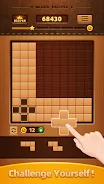 Wood Block Puzzle - Brain Game应用截图第3张