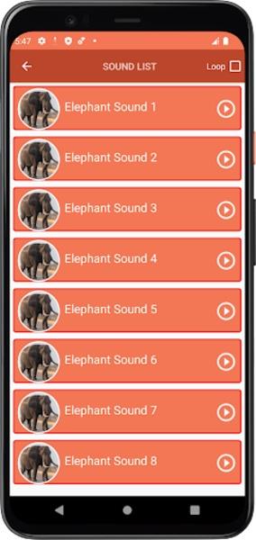 Elephant Sounds Скриншот 0