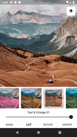 3DLUT mobile 2应用截图第2张