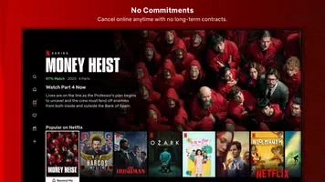 Netflix, Inc. Screenshot 2