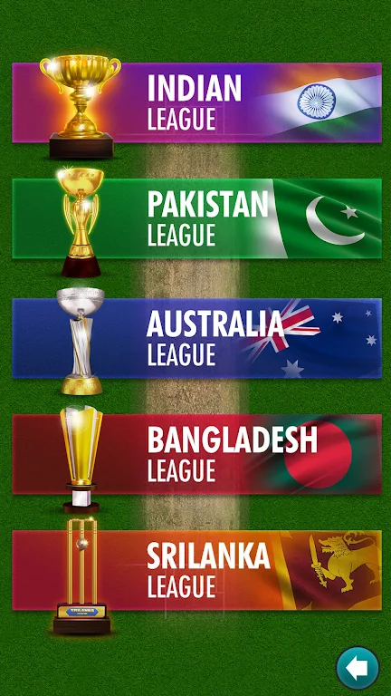 Ludo Cricket Clash™ Captura de pantalla 2