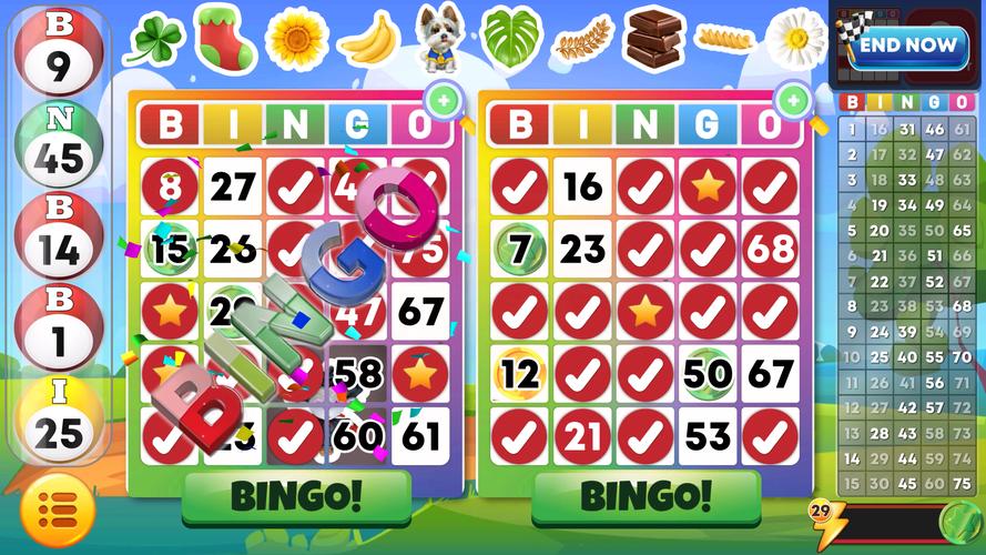 Bingo Classic Скриншот 2
